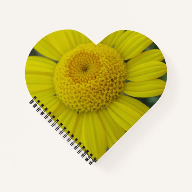 Cuaderno marguerita amarillo bonito (Anverso)