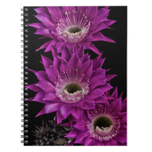Cuaderno Maria Piazza a la tercera