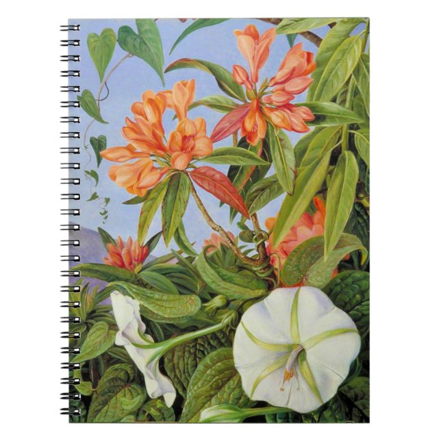 Cuaderno Marianne North - Javan Rhododendrum (Frente)