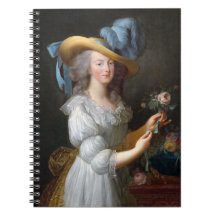 Marie Antoinette con un rosa