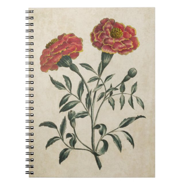 Cuaderno Marigold botánico vintage (Frente)