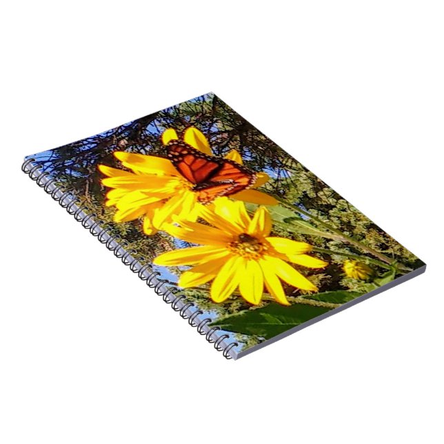 Cuaderno mariposa (Lado Derecho)