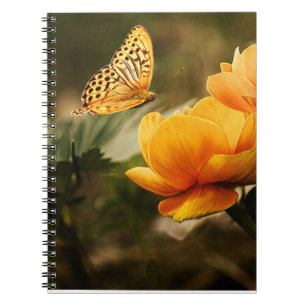 CUADERNO MARIPOSA