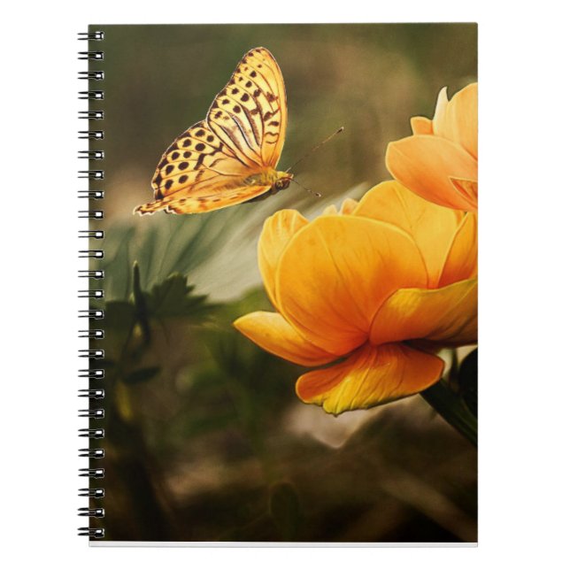 CUADERNO MARIPOSA (Frente)