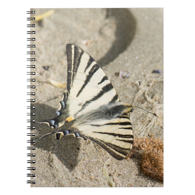 Cuaderno Mariposa (Frente)