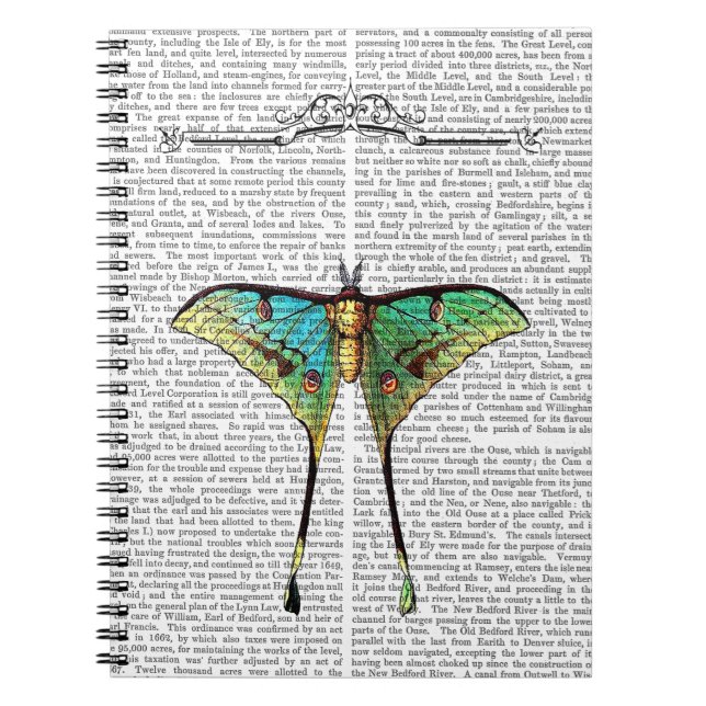 Cuaderno Mariposa 2 (Frente)