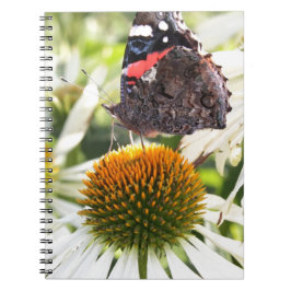 Cuaderno Mariposa almirante en la flor