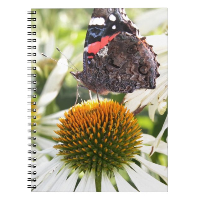 Cuaderno Mariposa almirante en la flor (Frente)