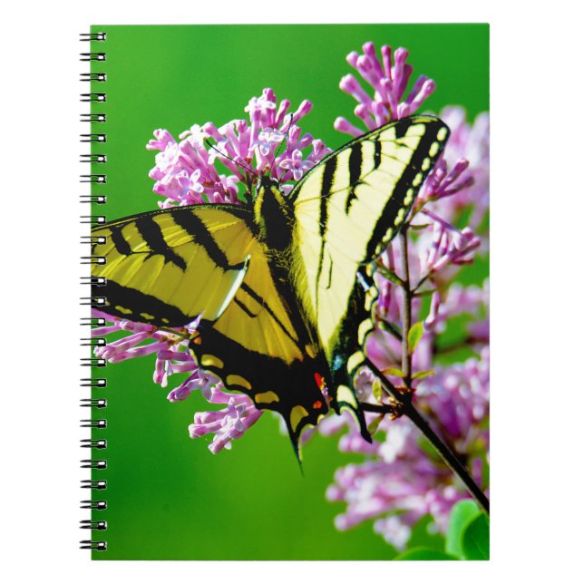 CUADERNO MARIPOSA AMARILLA SOBRE FLORES ROJOS (Frente)