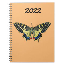 Mariposa amarilla y negra