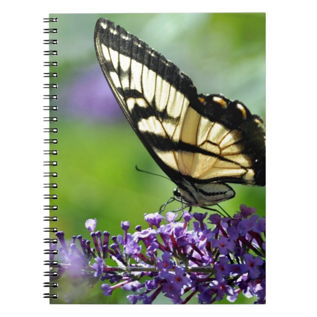 Cuaderno Mariposa amarilla y negra en Lavender (Frente)