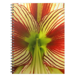 Cuaderno Mariposa Amaryllis