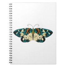 Mariposa Art Nouveau