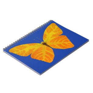 Cuaderno Mariposa Aspen Leaf 3