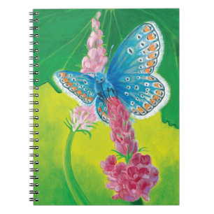 Cuaderno Mariposa azul Chapmans (tersidades Polyommatus)