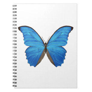 Cuaderno Mariposa azul de Morpho