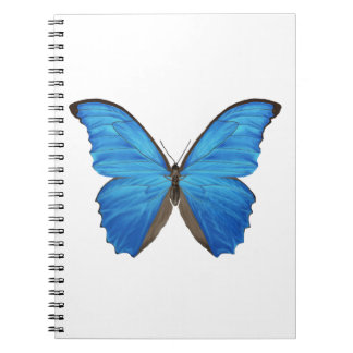 Cuaderno Mariposa azul de Morpho