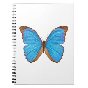 Cuaderno Mariposa azul de Morpho (Menelaus Morpho azul,