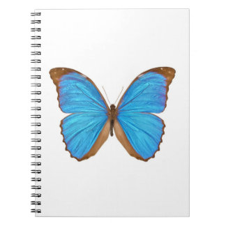 Cuaderno Mariposa azul de Morpho (Menelaus Morpho azul,