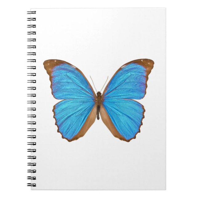 Cuaderno Mariposa azul de Morpho (Menelaus Morpho azul, (Frente)