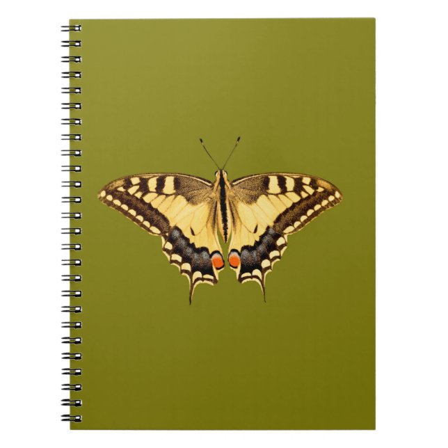 Cuaderno Mariposa bailarina (Frente)