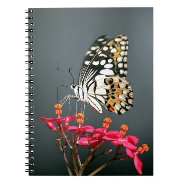 Cuaderno Mariposa blanca negra y amarilla en flores rosas (Frente)