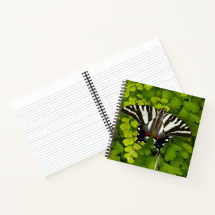 Cuaderno Mariposa cola de golondrina americana