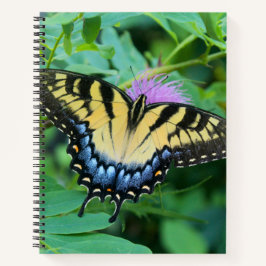 Cuaderno Mariposa cola de golondrina tigre oriental