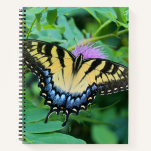 Cuaderno Mariposa cola de golondrina tigre oriental