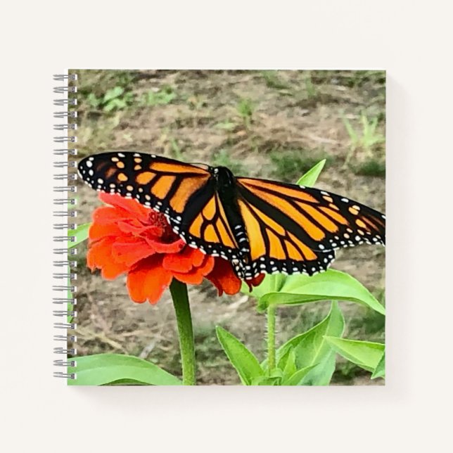 Cuaderno Mariposa colorida (Anverso)