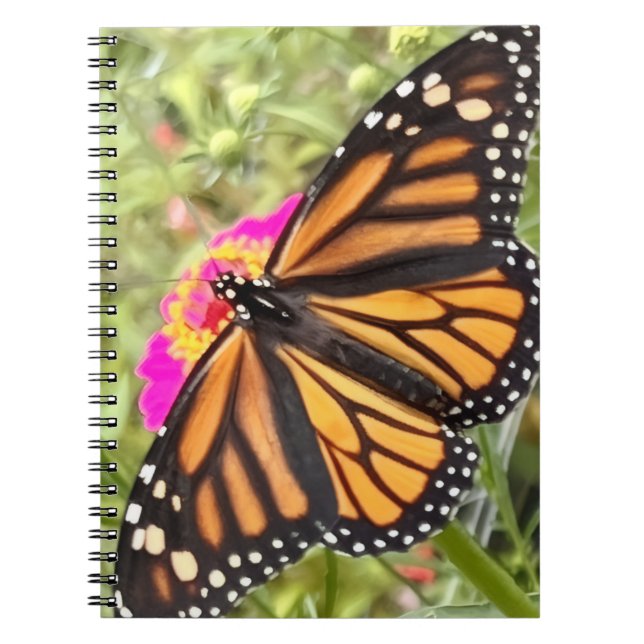 Cuaderno Mariposa colorida (Frente)