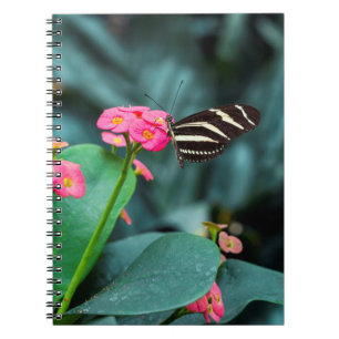 Cuaderno mariposa colorida en el jardín