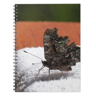 Cuaderno Mariposa de camuflaje oscuro
