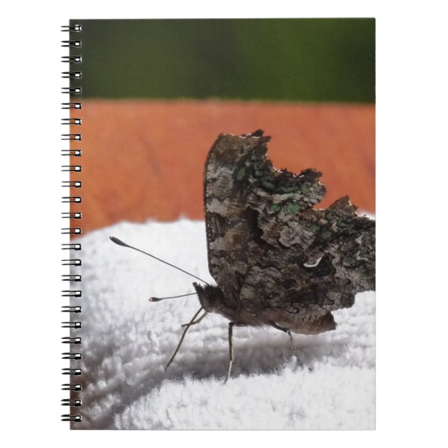 Cuaderno Mariposa de camuflaje oscuro (Frente)