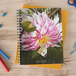 Cuaderno Mariposa de col blanca en floral Dahlia rosa