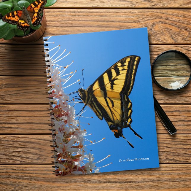Cuaderno Mariposa de cola cruda de tigre occidental en Buck (Western Tiger Swallowtail Butterfly on the Buckeye Journal Cover Photo)