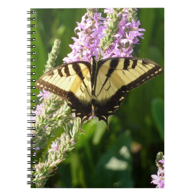 Cuaderno Mariposa de cola cruda sobre flores silvestres mor (Frente)