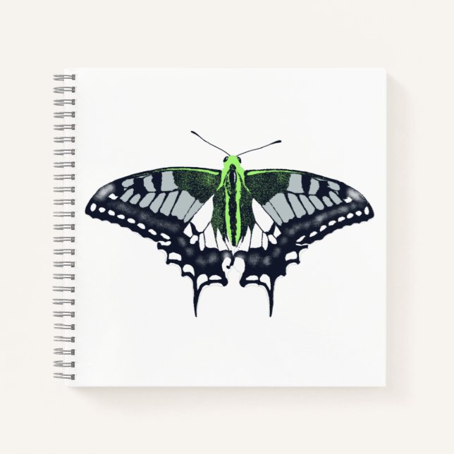 Cuaderno Mariposa de cola de cerda con bandera de género (Anverso)