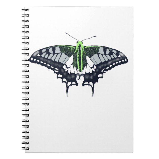 Cuaderno Mariposa de cola de cerda con bandera de género (Frente)
