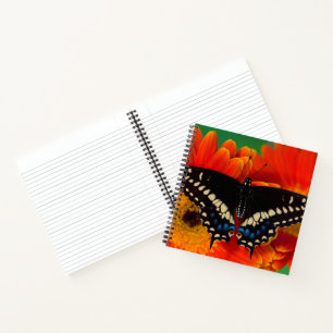 Cuaderno Mariposa de cola negra en Gerberia Daisy
