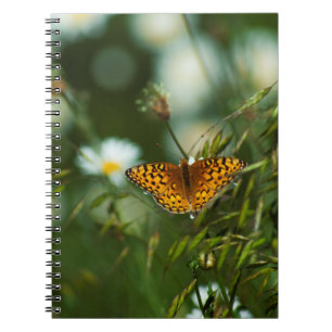 Cuaderno Mariposa de Fritillary del Pacífico