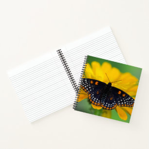 Cuaderno Mariposa de mancha cuadriculada de Baltimore