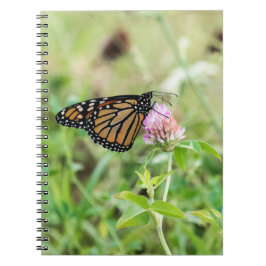 Cuaderno Mariposa de monarca