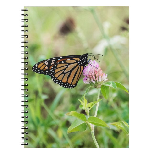 Cuaderno Mariposa de monarca (Frente)