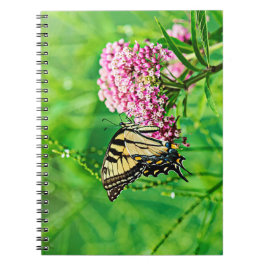 Cuaderno Mariposa del este de Swallowtail del tigre