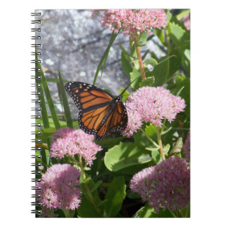Cuaderno Mariposa del verano