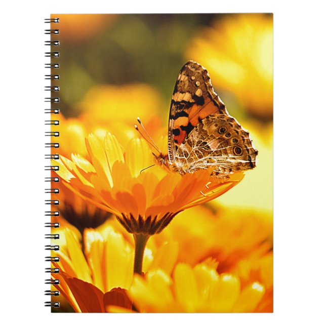 Cuaderno Mariposa en flor (Frente)