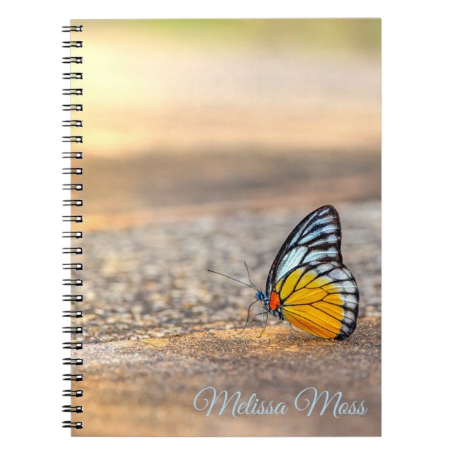 Cuaderno Mariposa en la playa *Personaliza* (Frente)