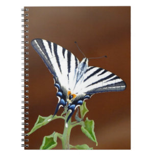 Cuaderno Mariposa Fantail Rayada Negra y Blanca