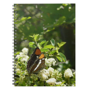 Cuaderno Mariposa Hermana de California en Yosemite